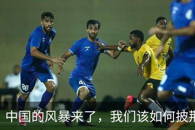 中国的风暴来了，我们该如何披荆斩棘？