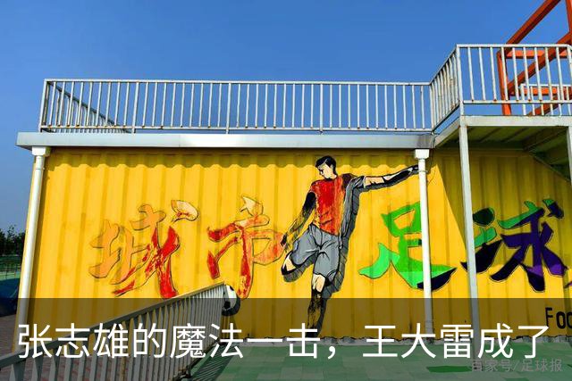 张志雄的魔法一击，王大雷成了“墙壁”！